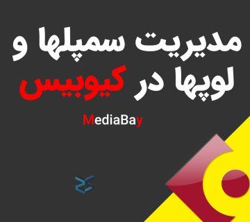 مدیریت سمپل ها و لوپ ها در کیوبیس
